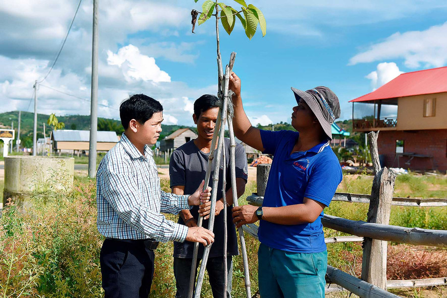 Người dân làng Blôm trồng 230 cây xanh để cải tạo cảnh quan môi trường, tạo bóng mát đường làng, góp phần xây dựng làng nông thôn mới. Người dân chung tay giữ gìn, cải tạo cảnh quan môi trường, trồng và chăm sóc 230 cây xanh do công ty Vinataba hỗ trợ, để tạo bóng mát đường làng, góp phần xây dựng làng nông thôn mới.