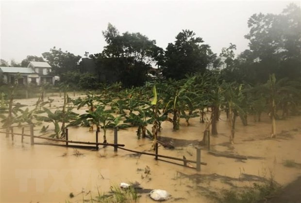 Nước lũ dâng cao ở xã Hòa Tiến (Hòa Vang, Đà Nẵng) khiến hoa màu bị ngập nặng. (Nguồn: TTXVN phát) Nước lũ dâng cao ở xã Hòa Tiến (Hòa Vang, Đà Nẵng) khiến hoa màu bị ngập nặng. (Nguồn: TTXVN phát)