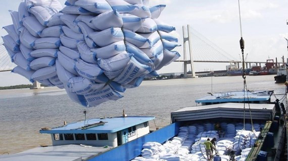  Bốc xếp gạo xuất khẩu sang tại cảng Sài Gòn. (Ảnh: TTXVN)