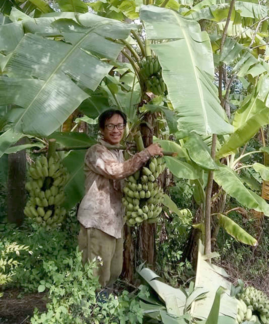 Ông Nguyễn Minh Hải bên vườn chuối trồng dưới tán rừng của gia đình. Ảnh: Thanh Nguyên