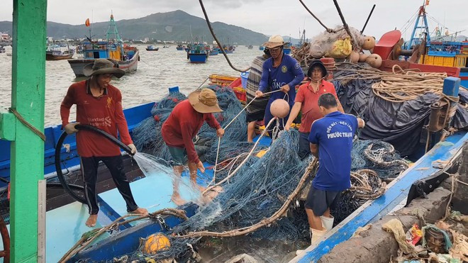 Tàu cá đã vào bờ để phòng chống bão số 9. ẢNH: ĐỨC HUY