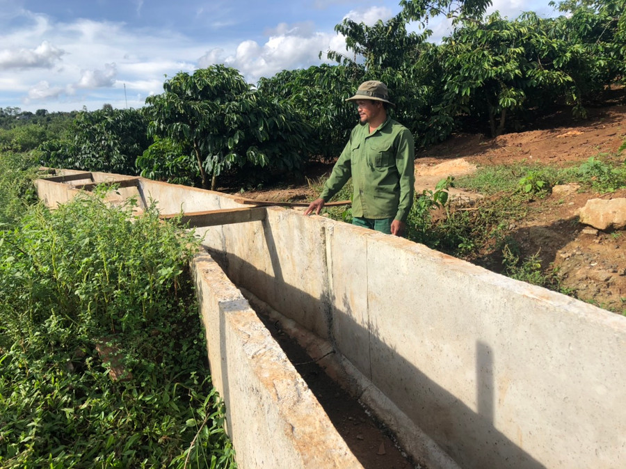Anh Rơ Châm Hiếu (làng Ó) bên hệ thống kênh thủy lợi đi qua vườn cà phê của gia đình. Ảnh: Phương Dung