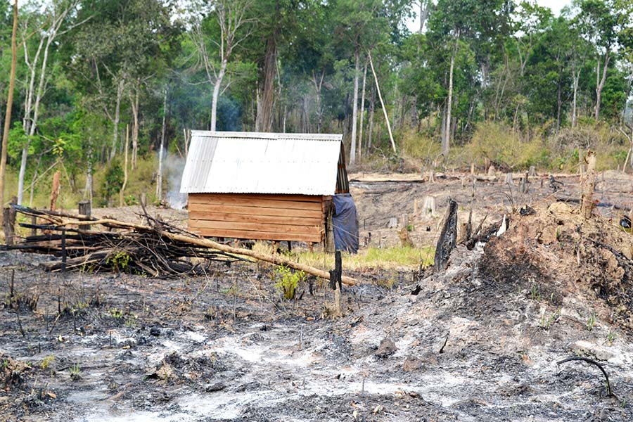 Ảnh minh họa: Internet