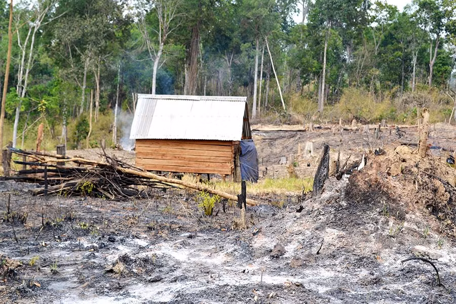 Ảnh minh họa: Internet