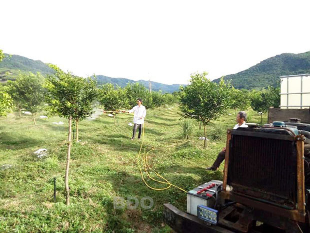 Anh Hồ Ngọc Dũng (thôn 1, xã Bình Nghi, huyện Tây Sơn, tỉnh Bình Định) đang điều khiển, vận hành xe phun thuốc trừ sâu trong trang trại trồng cây ăn quả của gia đình.