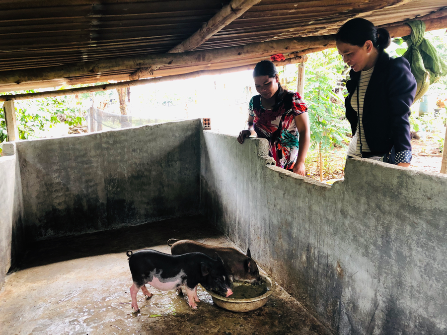 Hội LHPN huyện Ia Grai hỗ trợ heo giống giúp chị Siu Blur (bên trái, làng Nang Long-O Sơr, xã Ia Pếch) phát triển kinh tế. Ảnh: Phan Lài