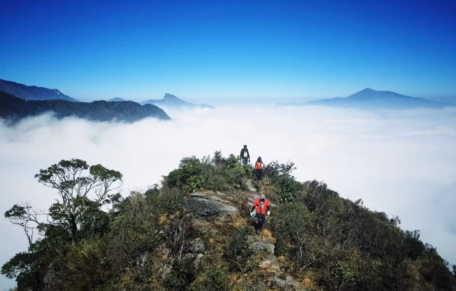 Một bộ phận giới trẻ Việt Nam rất thích leo núi để khám phá vẻ đẹp hoang dã của tự nhiên. (Ảnh: Xuân Mai/Vietnam+)