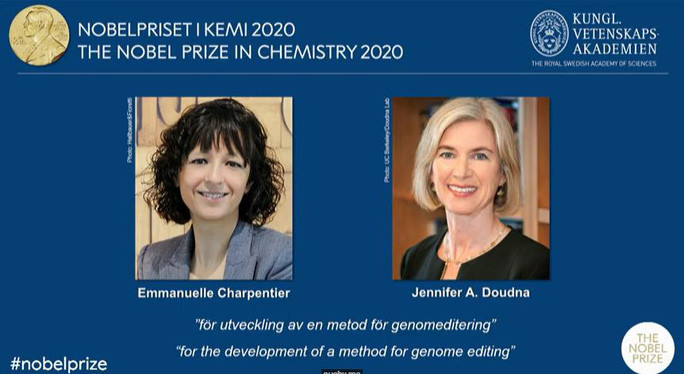 Hai nhà khoa học Emmanuelle Charpentier và Jennifer A. Doudna giành giải Nobel Hóa học 2020. Ảnh: Nobel Prize  Hai nhà khoa học Emmanuelle Charpentier và Jennifer A. Doudna giành giải Nobel Hóa học 2020. Ảnh: Nobel Prize