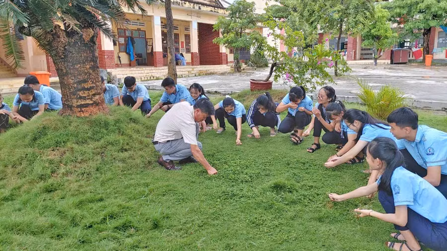 Học sinh Trường THPT Chu Văn An (huyện Krông Pa) dọn vệ sinh khuôn viên trường. Ảnh: Nhật Hào