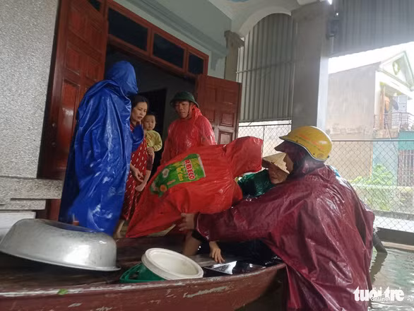 Để tránh thiệt hại cho đàn gia súc, bà con đưa heo đi tránh lũ - Ảnh: VĂN ĐỊNH