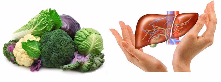 Rau họ cải giúp hỗ trợ giải độc gan hiệu quả. Đồ họa: Hồng Nhật