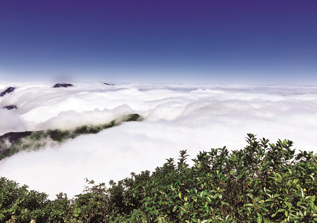 Biển mây trên đỉnh Ky Quan San ở độ cao 3.046 m.