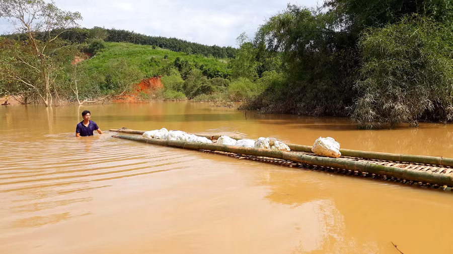 Anh Vi Văn Huy, thôn Đắk Dế, xã Đắk Rơ Nga, huyện Đắk Tô, tỉnh Kon Tum liều mình đưa bè tre bơi qua vùng ngập do thủy điện Plei Kần tích nước để đưa mủ cao su về. Anh Vi Văn Huy, thôn Đắk Dế, xã Đắk Rơ Nga, huyện Đắk Tô, tỉnh Kon Tum liều mình đưa bè tre bơi qua vùng ngập do thủy điện Plei Kần tích nước để đưa mủ cao su về.