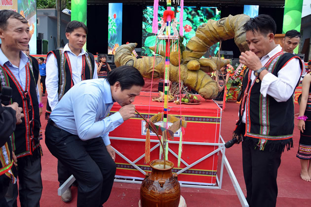 Rượu Sâm – quà của đại ngàn cũng là lễ vật được dâng lên Thần Sâm và sau đó để cho dân làng, du khách tận hưởng.