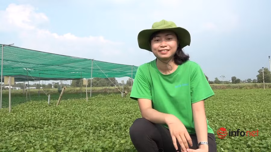 Nguyễn Ngọc Hương - nhà sáng lập bột rau má Quảng Thanh.