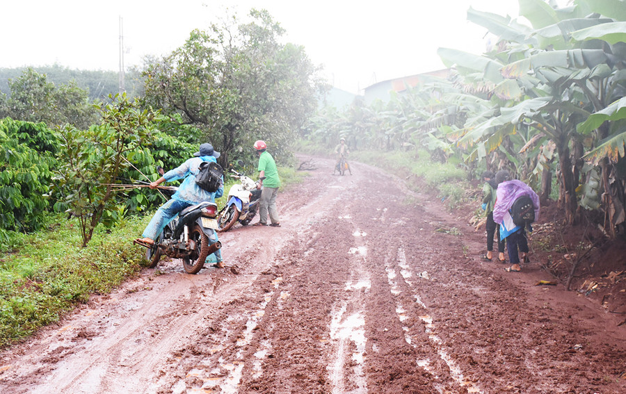  Xã Ia Tô (huyện Ia Grai) chuẩn bị thi công tuyến đường dài 400 m từ thôn 4 đến làng Krung để hoàn thành tiêu chí giao thông. Ảnh: Minh Nguyễn