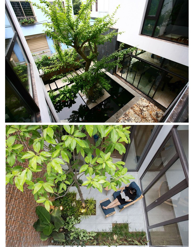 Các loại cây dễ sống, ít rụng lá, cho hoa và quả đẹp được nhiều người lựa chọn. Đồ họa: Thiều Trang