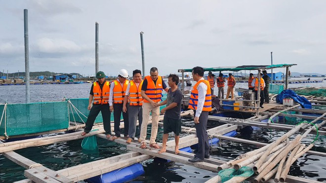 Ông Phạm Đại Dương, Bí thư Tỉnh ủy, Chủ tịch UBND tỉnh Phú Yên (thứ 3 từ phải qua trái) động viên người dân nuôi trồng thủy sản phòng chống bão số 9. ẢNH: ĐỨC HUY