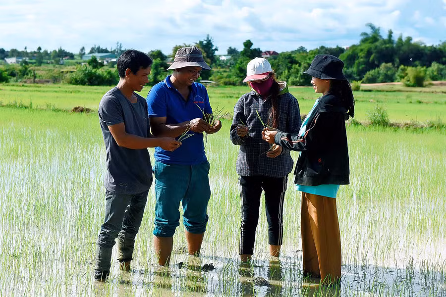 Ông Nguyễn Thế Mạnh-công chức Địa chính-Xây dựng xã Kim Tân-cho biết: Sau khi quy hoạch, sắp xếp lại khu dân cư, đầu tư cơ sở vật chất hạ tầng, huyện tiếp tục triển khai hỗ trợ các mô hình phát triển sản xuất để người dân làng Blôm đảm bảo cuộc sống. Đặc biệt, huyện khuyến khích những hộ nghèo tự lực vươn lên thoát nghèo và làm giàu chính đáng, từng bước hoàn thành mục tiêu xây dựng làng nông thôn mới trong đồng bào dân tộc thiểu số. Ông Nguyễn Thế Mạnh công chức địa chính xây dựng xã Kim Tân huyện Ia Pa cho biết: Sau khi quy hoạch, sắp xếp lại khu dân cư, đầu tư cơ sở vật chất, hạ tầng, hệ thống chiếu sáng, nước sinh hoạt… huyện tiếp tục triển khai hỗ trợ các mô hình phát triển sản xuất để đảm bảo cuộc sống. Đặc biệt, để giảm nghèo bền vững, huyện khuyến khích những hộ nghèo tự lực vươn lên thoát nghèo và làm giàu chính đáng, đem lại cuộc sống ấm no cho đồng bào các dân tộc, từng bước hoàn thành mục tiêu xây dựng làng NTM trong đồng bào DTTS.
