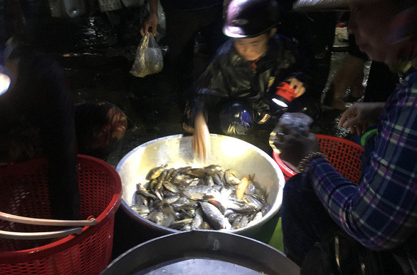 Cảnh bán buôn cá đồng lúc 3h sáng tại chợ Bình Châu - Ảnh: THÀNH NHƠN
