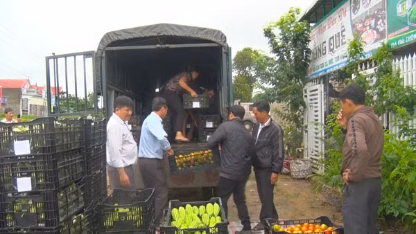  HTX Đoàn kết xuất hàng đi siêu thị Big C miền Trung. Ảnh: Hồng Hạnh 