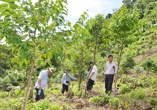 Trao đổi với báo chí về Thỏa thuận này, ông Hà Công Tuấn- Thứ trưởng Thường trực Bộ NNPTNT cho biết: 