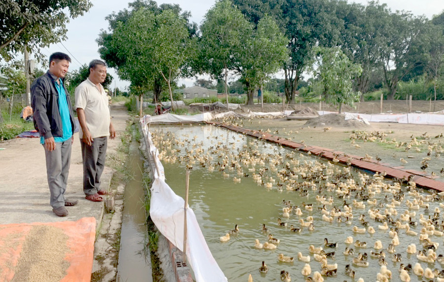 Ông Đào Minh Châu (bên phải)-Chủ tịch Hội đồng quản trị kiêm Giám đốc HTX Thủy cầm Ia Peng chia sẻ cách chăm sóc vịt con. Ảnh: V.C
