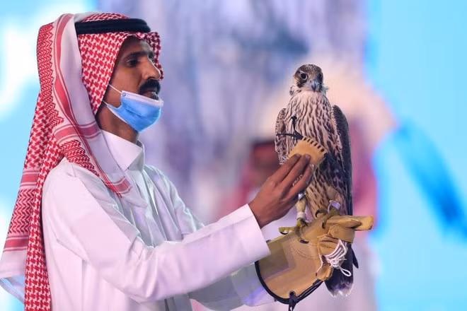  Cận cảnh chim cắt phá kỷ lục về giá trong lịch sử - Ảnh: Reuters