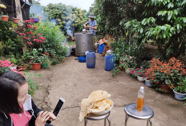 Và thưởng thức các sản phẩm đặc sản mật ong ngay tại thủ phủ vải thiều Lục Ngạn, Bắc Giang.