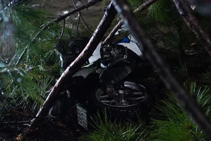 Hiện trường thông ngã đổ đè xe máy trong đêm ở đèo Prenn Đà Lạt.