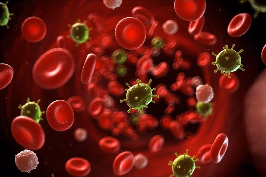 Ung thư máu là căn bệnh quái ác thường gặp nhất ở người trẻ tuổi. Ảnh: Bệnh viện 108.