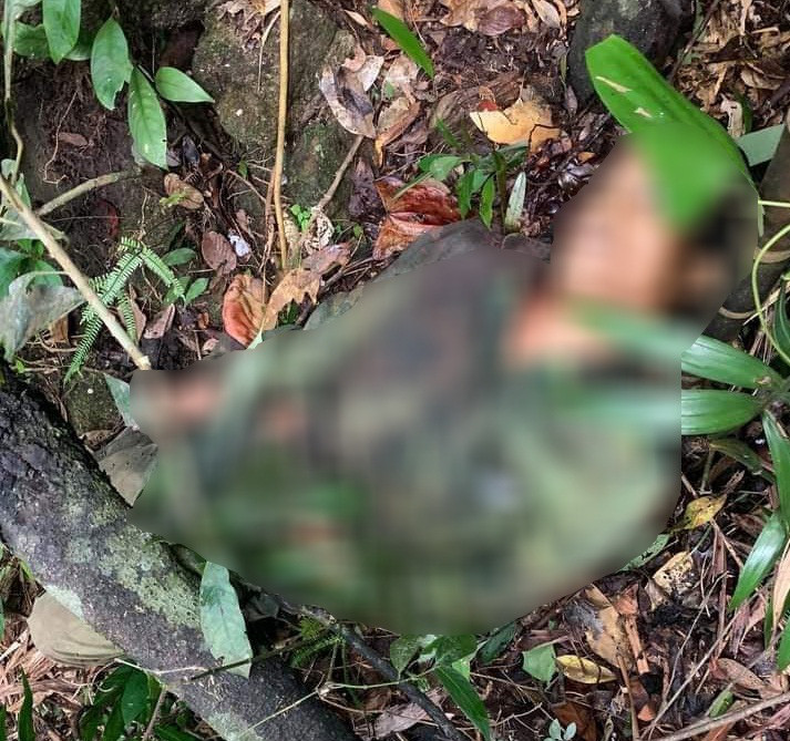 Hồ Văn Nhưng khai nhận do trượt chân nên súng cướp cò khiến người đi cùng trúng đạn và tử vong tại chỗ (Ảnh: T.X) Hồ Văn Nhưng khai nhận do trượt chân nên súng cướp cò khiến người đi cùng trúng đạn và tử vong tại chỗ (Ảnh: T.X)