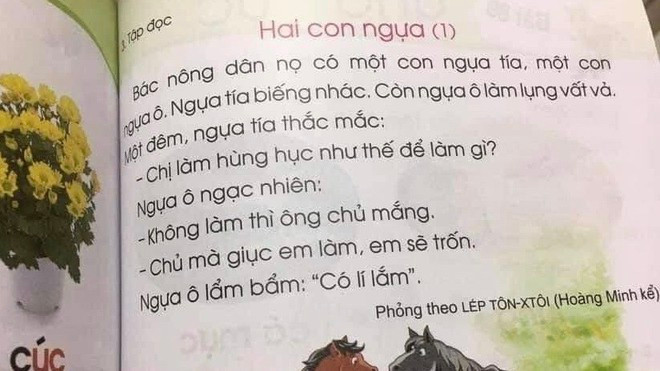 Bộ GD-ĐT đề nghị Hội đồng thẩm định quốc gia rà soát sách giáo khoa tiếng Việt lớp 1 - ẢNH T.N