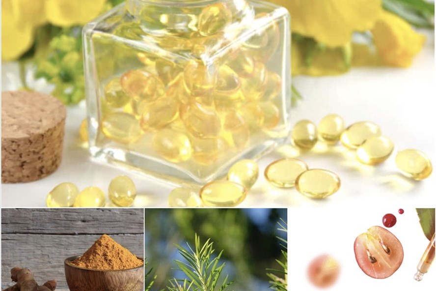 Những dược liệu được các chuyên gia khuyên dùng. Ảnh: Hạ Mây