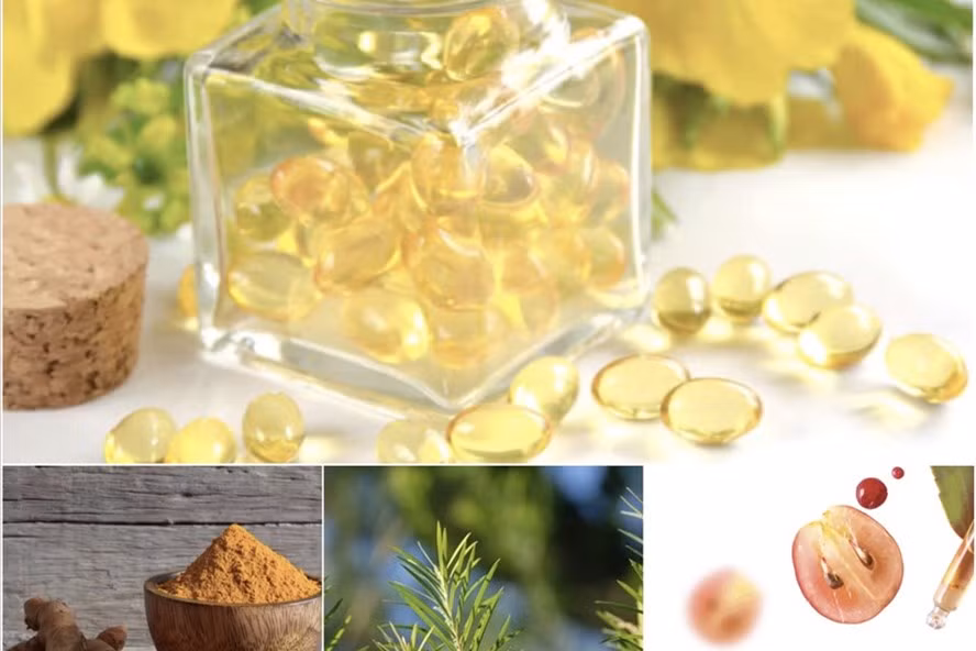 Những dược liệu được các chuyên gia khuyên dùng. Ảnh: Hạ Mây