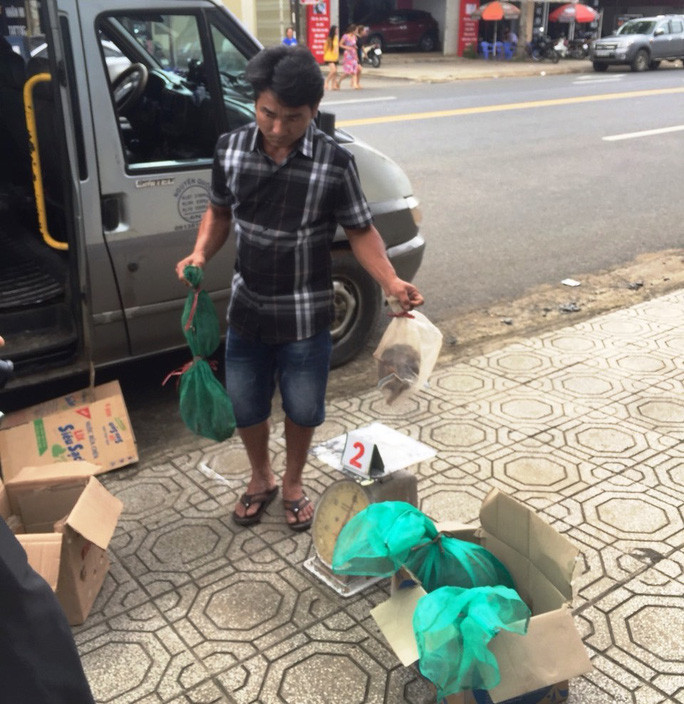 Xe khách chở nhiều động vật hoang dã quý hiếm bị các ngành chức năng bắt giữ.