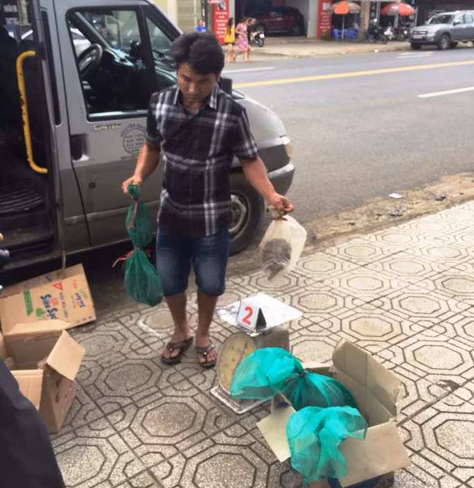 Xe khách chở nhiều động vật hoang dã quý hiếm bị các ngành chức năng bắt giữ.