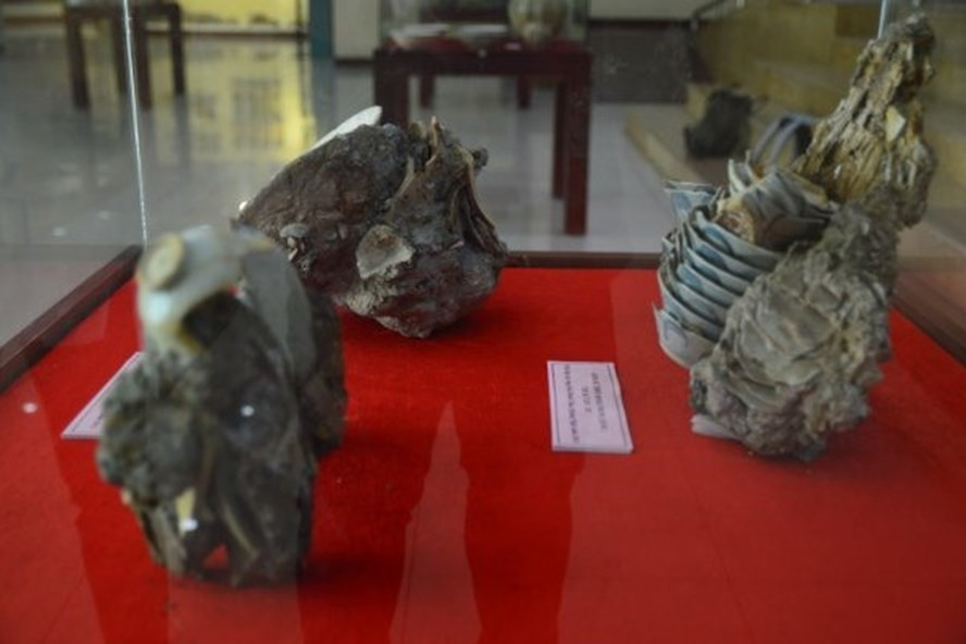 Triển lãm sưu tập “Đồ gốm sứ theo những con tàu khai quật ở biển Việt Nam” được tổ chức tại Bảo tàng Đà Nẵng. Ảnh: M.H