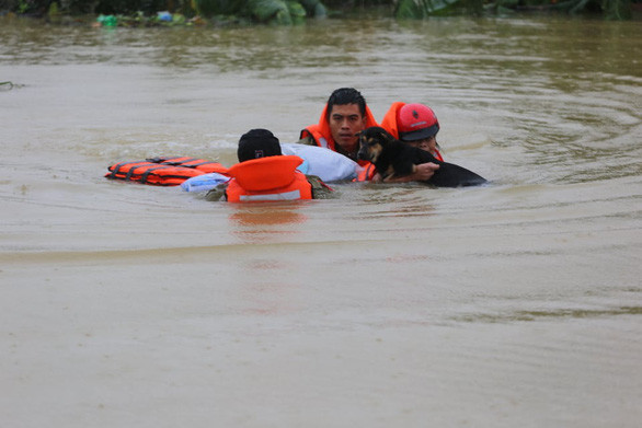 Bà Phan Thị Cúc, 63 tuổi, ngụ xã Sơn Thủy, ôm khư khư con chó cỏ sau khi được lực lượng cứu hộ cứu đưa lên cano. Bà Cúc cho biết, bị kẹt trong lũ 3 ngày nay nên không còn đồ ăn, nước uống...