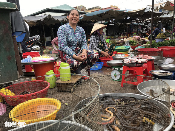 Hàng lươn béo múp mùa nước nổi - Ảnh: T.N.