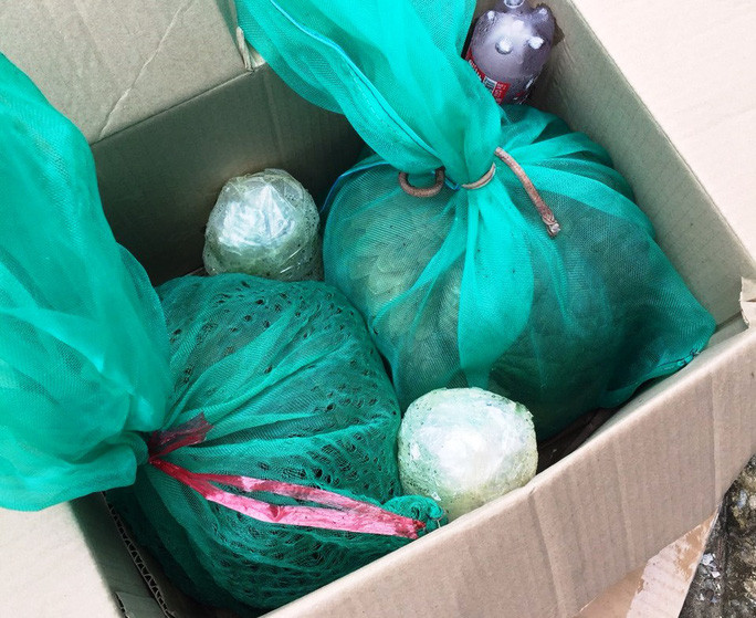 Qua kiểm tra, cơ quan công an phát hiện trên xe khách này có 2 cá thể tê tê (1 cá thể 4 kg và 1 cá thể 6 kg), 1 cá thể trăn (10,5 kg) và 3 cá thể dúi, với tổng trọng lượng 3,5 kg.