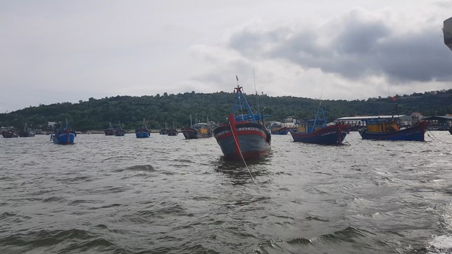 Tàu thuyền vào neo đậu tại cảng cá Dân Phước, TX.Sông Cầu (Phú Yên). ẢNH: ĐỨC HUY