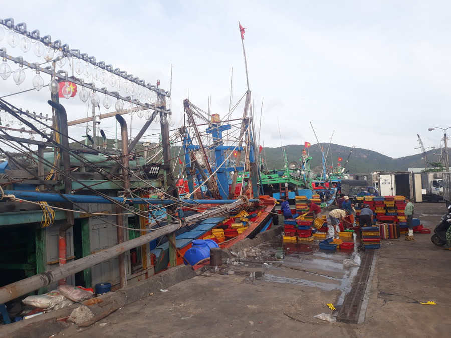 Ngư dân khẩn trương dọn dẹp đồ đạc trú ẩn bão.  Ngư dân khẩn trương dọn dẹp đồ đạc trú ẩn bão.