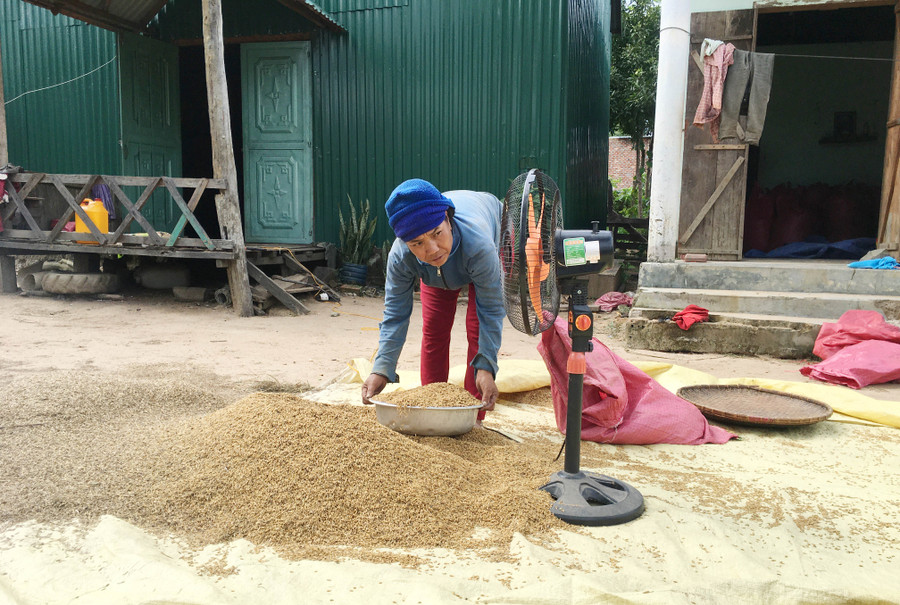 Dù có 2 sào lúa nước 2 vụ và 3 sào mì những cuộc sống của gia đình bà A Lák (làng Đê Bơ Tưk) vẫn gặp nhiều khó khăn. Ảnh: Quang Tấn Dù có 2 sào lúa nước 2 vụ và 3 sào mì những cuộc sống của gia đình bà A Lák vẫn gặp nhiều khó khăn. Ảnh: Quang Tấn