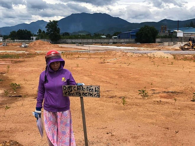 Bà Nguyễn Thị Kim Chung trồng keo, phản đối việc thi công xây dựng khu tái định cư phục vụ dự án đường phía tây tỉnh Bình Định liên quan đến đền bù - ẢNH: DƯƠNG VIỆT Bà Nguyễn Thị Kim Chung trồng keo, phản đối việc thi công xây dựng khu tái định cư phục vụ dự án đường phía tây tỉnh Bình Định liên quan đến đền bù - ẢNH: DƯƠNG VIỆT