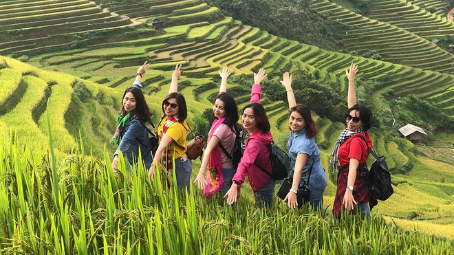 Tour ngắm mùa vàng Tây Bắc đang giảm giá hấp dẫn du khách ẢNH H.BÌNH