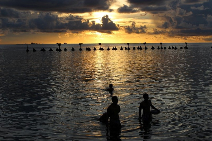 Những người thức dậy cùng bình minh.