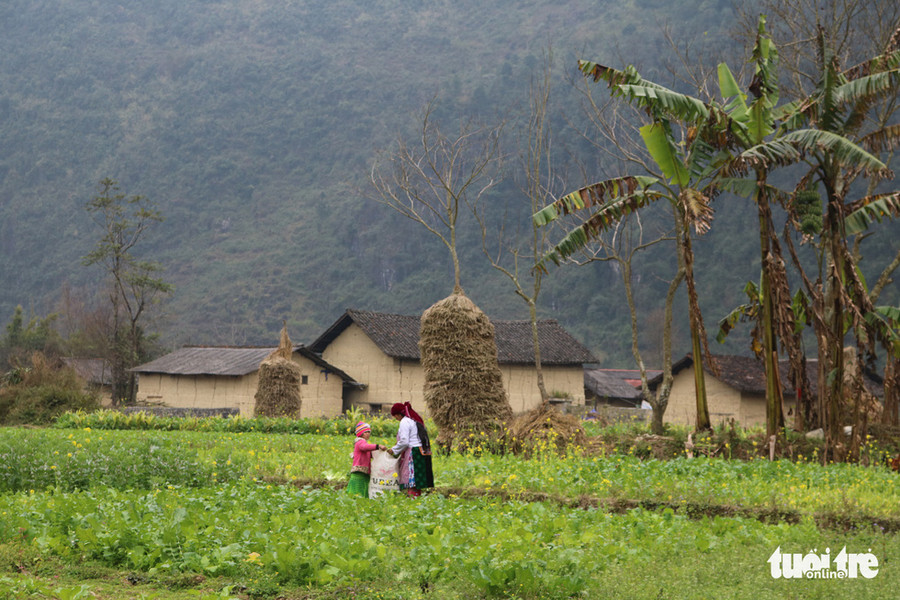 Ông Yasushi Ogura đã có 20 năm du lịch tới các tỉnh Tây Bắc Việt Nam. Trong ảnh là thiên nhiên và con người ở huyện Đồng Văn, Hà Giang - Ảnh do nhân vật cung cấp