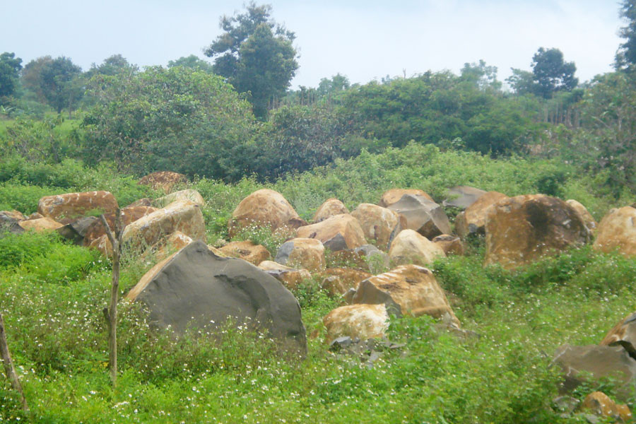 Ảnh: Nguyễn Diệp Ảnh: Nguyễn Diệp