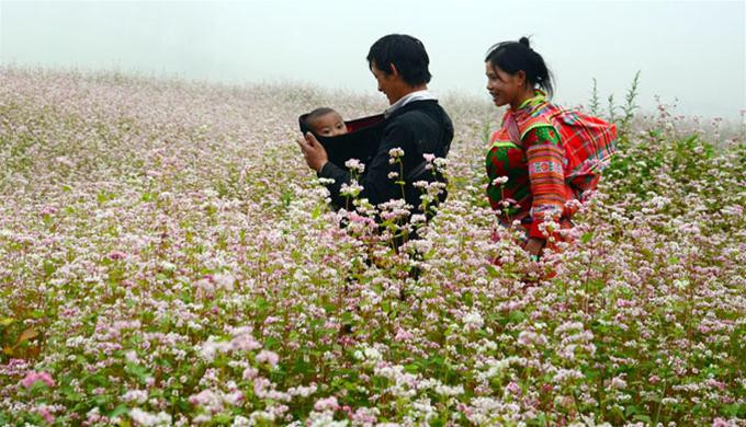 Hạnh phúc nơi rẻo cao.